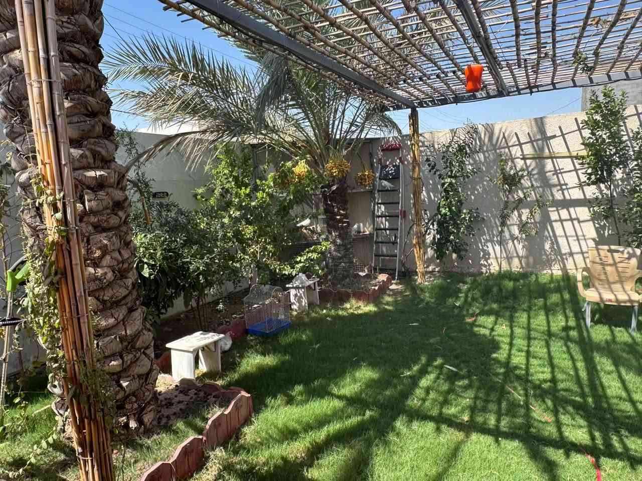 بل ابراهميه • ٥٠٠م • ٦غرف