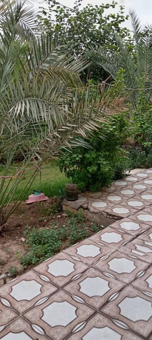 مجمع الأميرات الأول • ٣١٦م • وجه كوفة