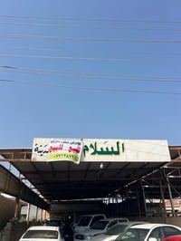 معرض • ٣٠٠م • ملك صرف