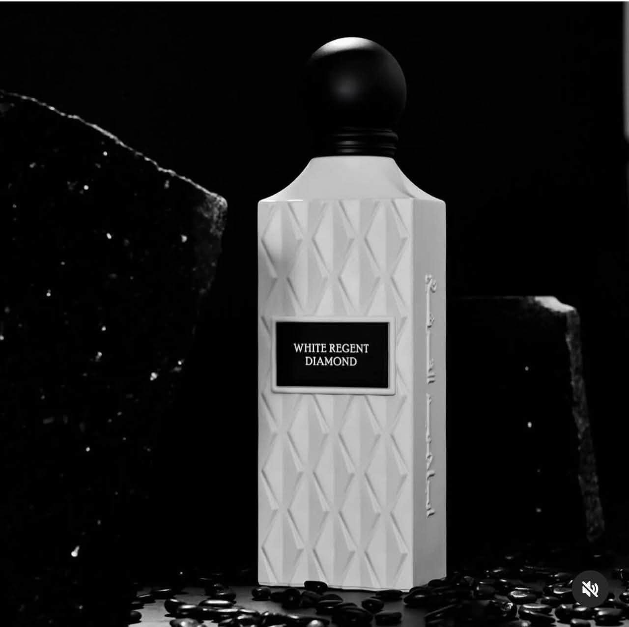 White Regent Diamond - إبراق

عطر راق يوحد بين نوتات الشاي الأسود، التين، الفيتيفر، والفانيلا، برائحة

كريمية جذابة وثبات قوي يدوم حتى 8 ساعات.
البديل:
يشبه Gris Charnel Extrait من BDK Parfums بنسبة كبيرة، لكن بسعر

أوفر وزجاجة أكبر.

حجم 200 مل 
سعر درزن ١٢ قطعه 110

https://t.me/ak3000a

رقم الحجز وتساب 
***********
