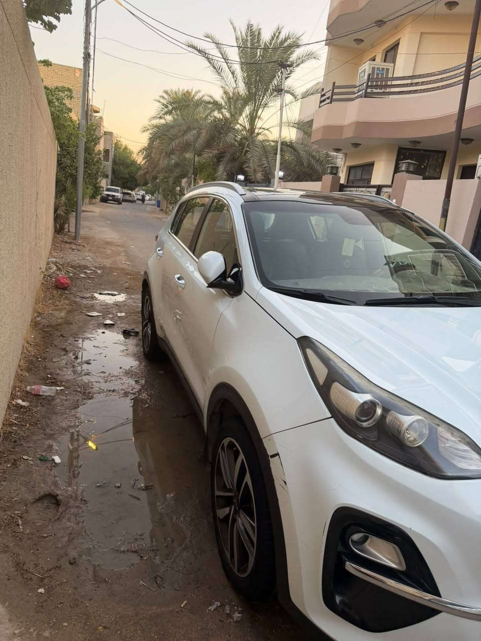 سبورتج ٢٠١٩ • ويل ١٩ • بانوراما