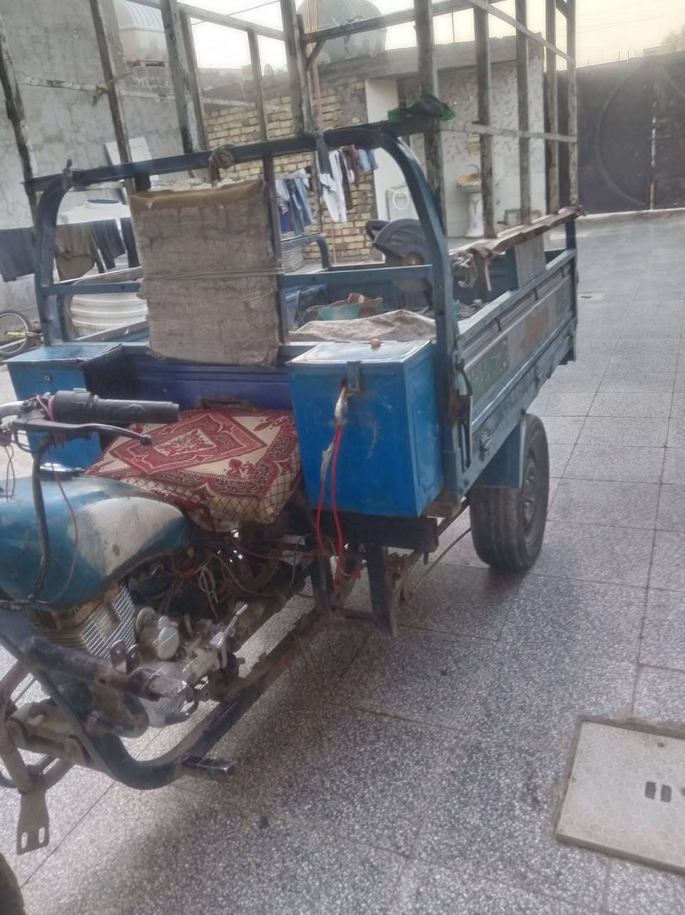 صقر للبيع ***********
بغداد
العبيدي
سعر 900
