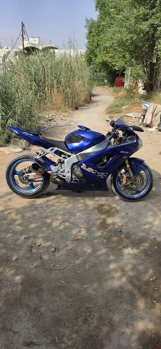 كاوسكي • ٦٣٦ • ٢٠٠٤