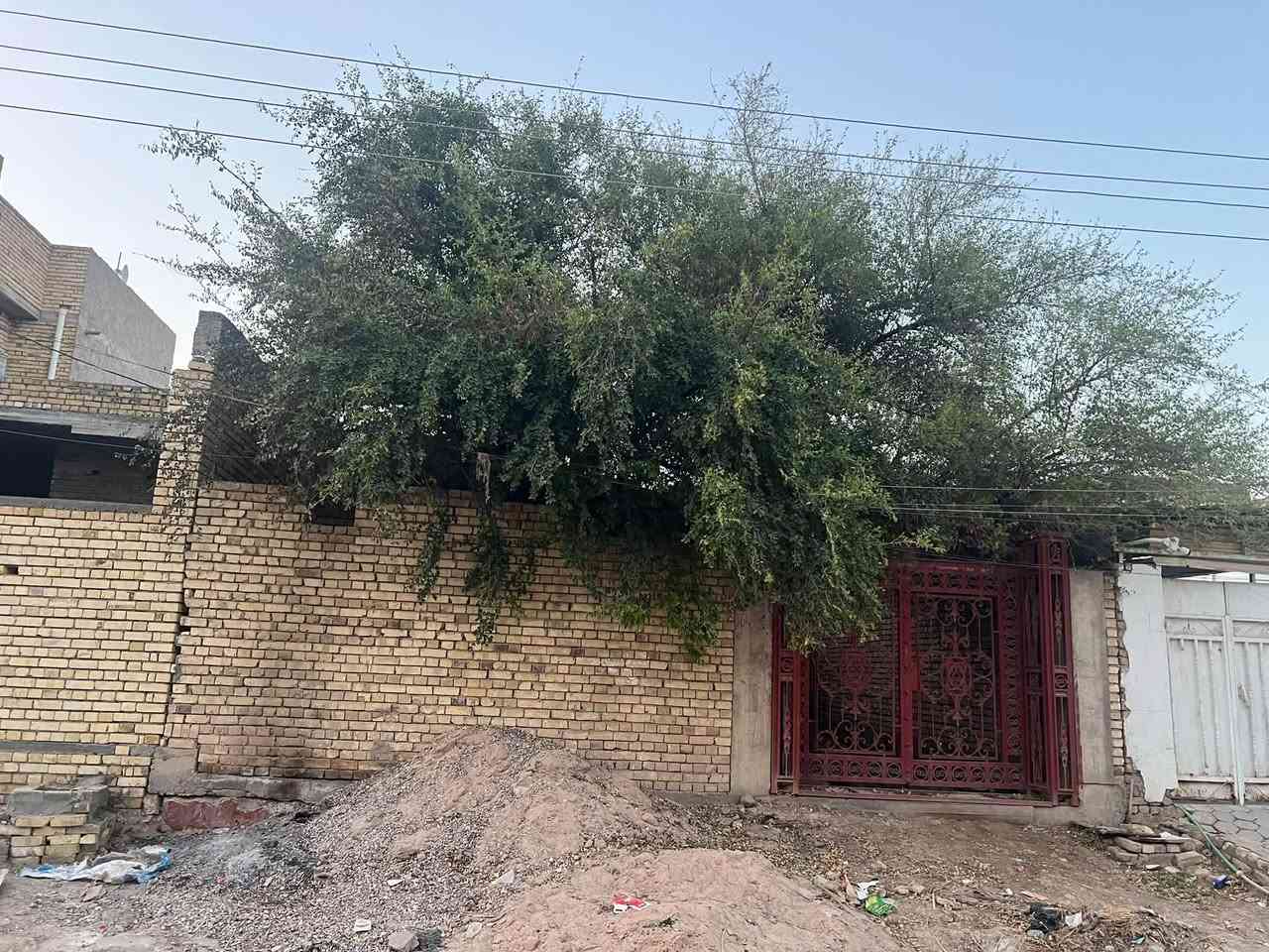 هيكل • ٢٧٠م • سايدين جواهري