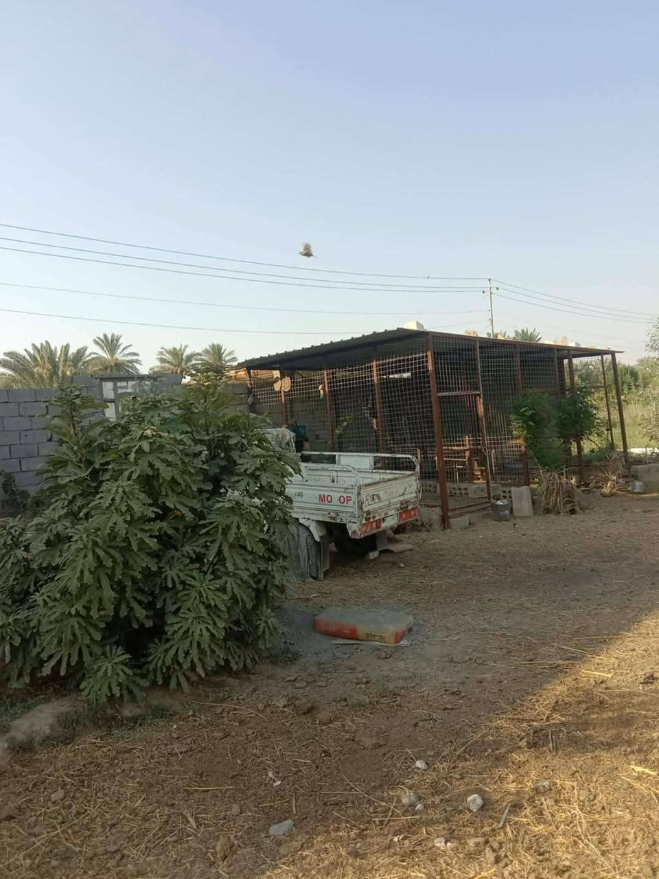 ٢دونم • على الشط • السنيه البو نائل