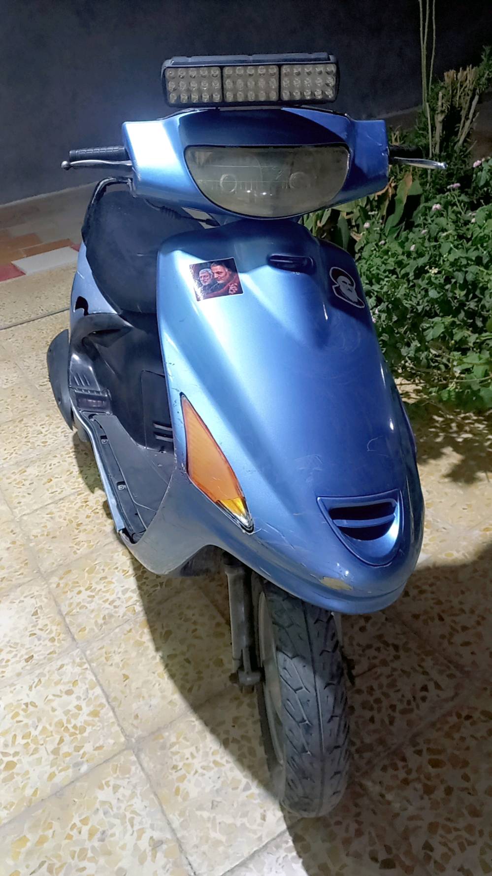 فراشة • بابل • مجال
