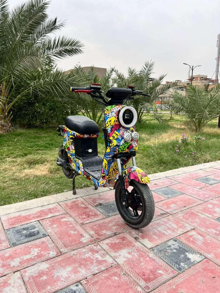 دراجة شحن • كفرات • نجف كوفه