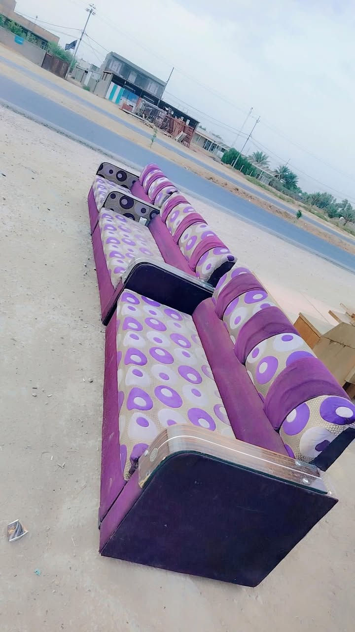 كنب • تخم • للبيع