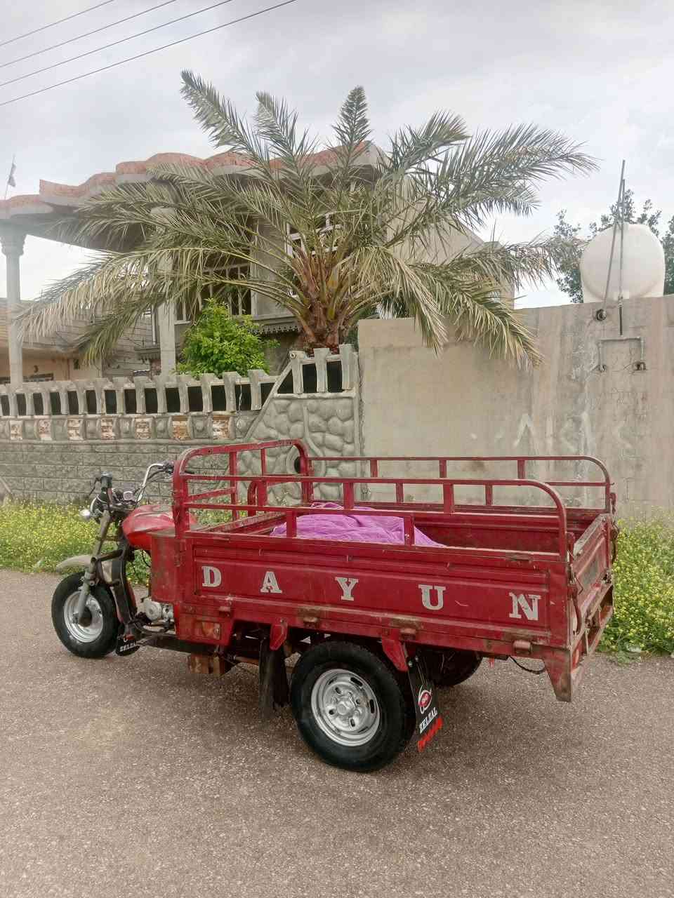 ستوته • دايوان ٢٠١٧ • مندلي