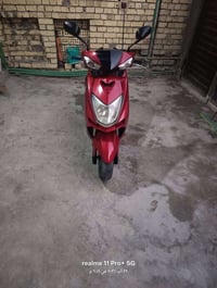 سكنس • ياباني • مكفوله