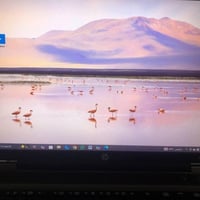 لابتوب 6570b ProBook HP   Intel Core i5-3210M @ 2.50GHz :alral   الرام...