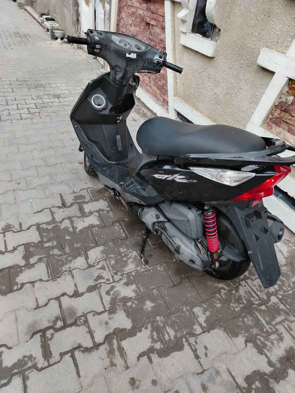 ماكس ثعلب • كفاله عامه • كلها بلاديه