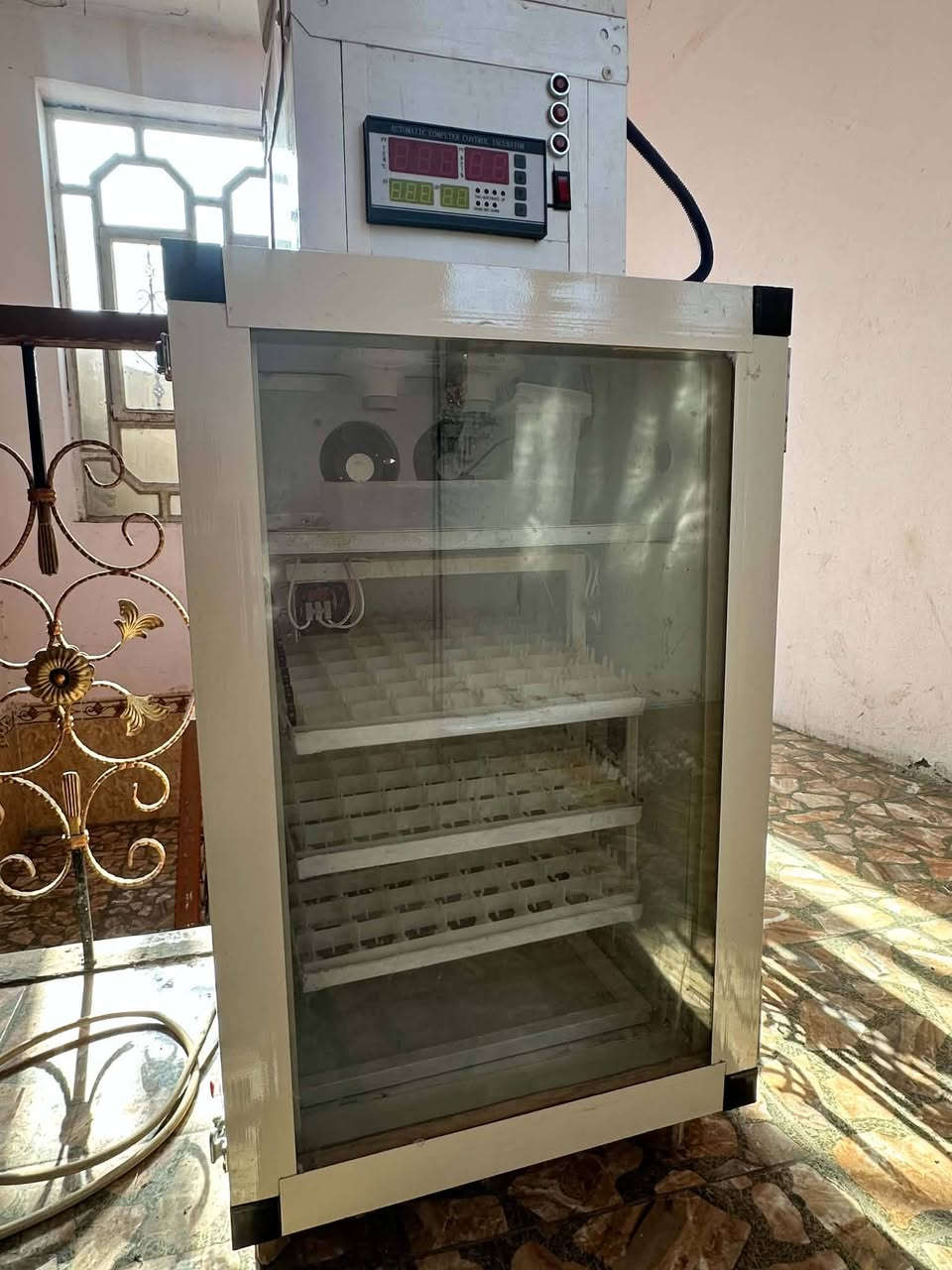 فقاسه • ١٩٠ بيضه • بيها مجال