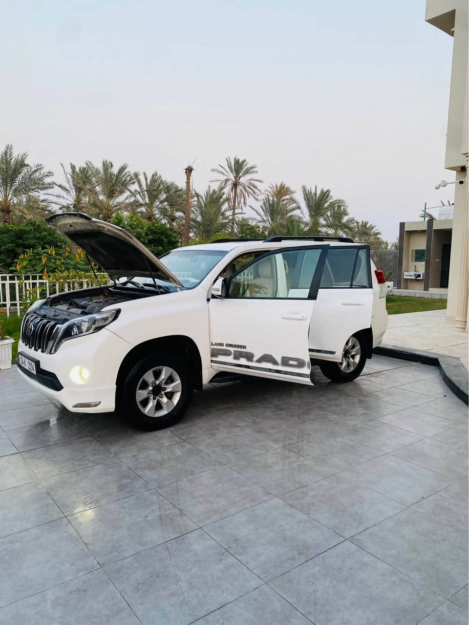 برادو TX • ٢٠١١ • رقم بصرة