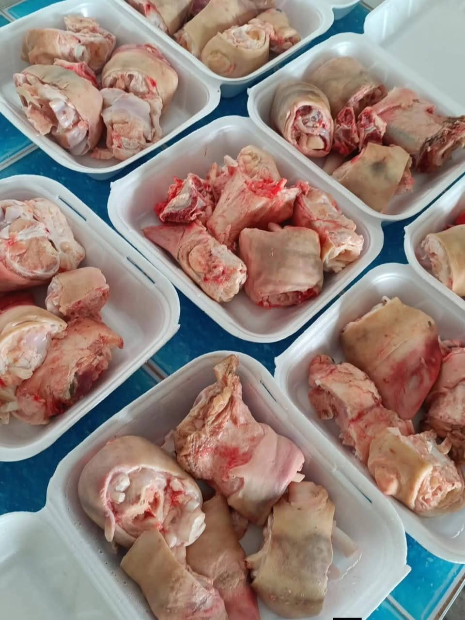 حجز • مراسلة خاص • واتساب