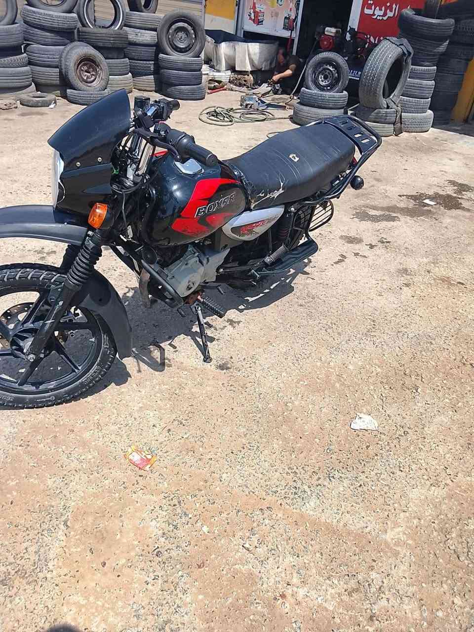 بوكسر • جبلي • تحويل نفس اليوم