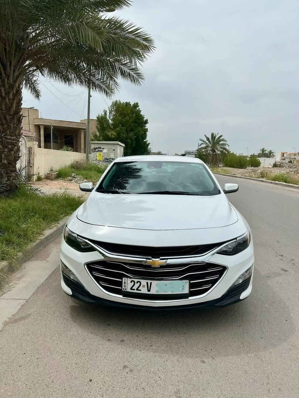 سيارة ماليبوا للبيع 2024 LT رقم اربيل السنوية بأسمي
السيارة حادثها من امريكا الباب عكس السايق فقط ومصلحة للنص. والايرباك بردة طاگ والصور حادث موجودة بالمنشور.

السيارة حاليا ماشية 26 mi فقط 

سيارة على ايدي اخذتها جديدة من شركة واستخدتم مال بيت.

مواصفات السيارة:
مكينة 1500 turbo / بصمة تشغيل عن بعد / رادارات جانبية / حساسات خلفية / رادار امامي توقف ذاتي / قطعتين تبريد / كشن تدفئة / تبريد بيانو / تحديد مسار / مثبت سرعة
باقي المواصفات المعروفة

مكاني بغداد / الكرخ 

السعر : 139$ وبيها مجال 

للاستفسار :   /متوفر واتساب
***********
