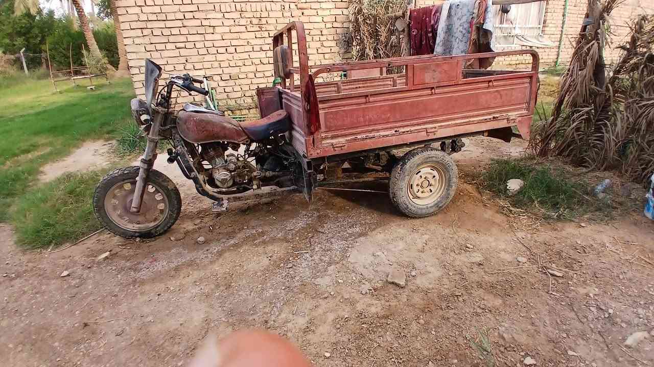 ستوته • وراق • ركبي
