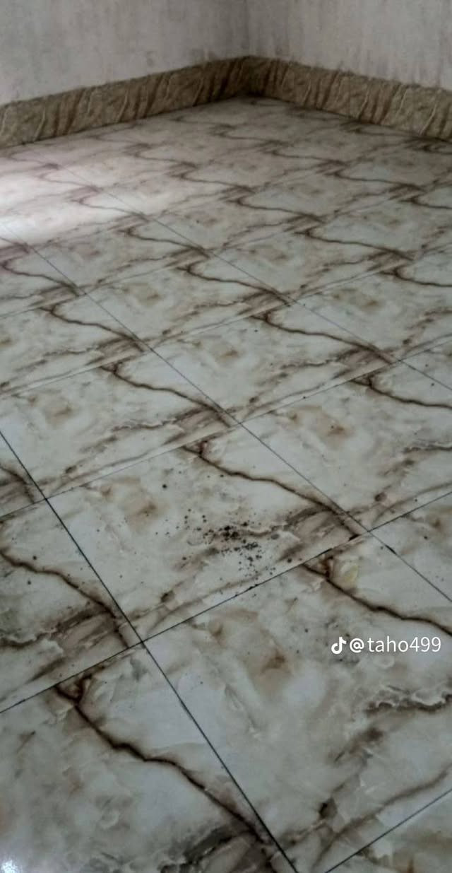 سلام عليكم اني اسطه كاشي اشتغل سعر مناسب عنوان ناحيه تازه لمن يريد شغل خدمتكم خابر على اتصال ***********
