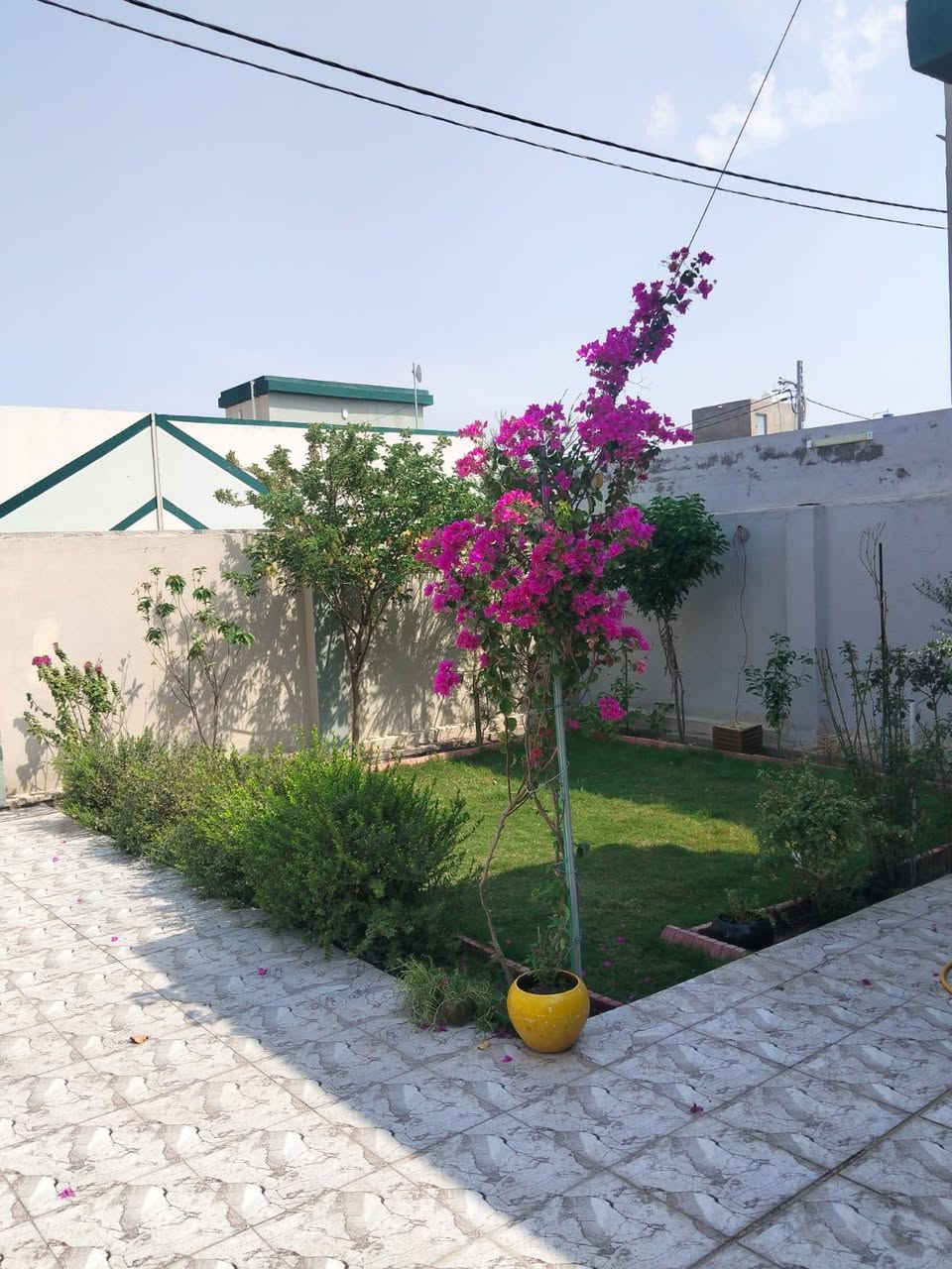 مقدمه ٨٠ مليون فقط مع بقاء الكفيل نفسه

تكدر تمتلك دار في مجمع ابو تراب ٢٠٠متر 
مرحلى اولى موقع مميز

طابق واحد غرفتين واستقبال ومطبخ 

جاهز للسكن

البيت نضيف جدا وجديد سند محجوز للمصرف العقاري 

بدون فوائد ٤٠٠ بالشهر بدون كفيل باقي ٨٢ مليون

للاستفسار 
***********
