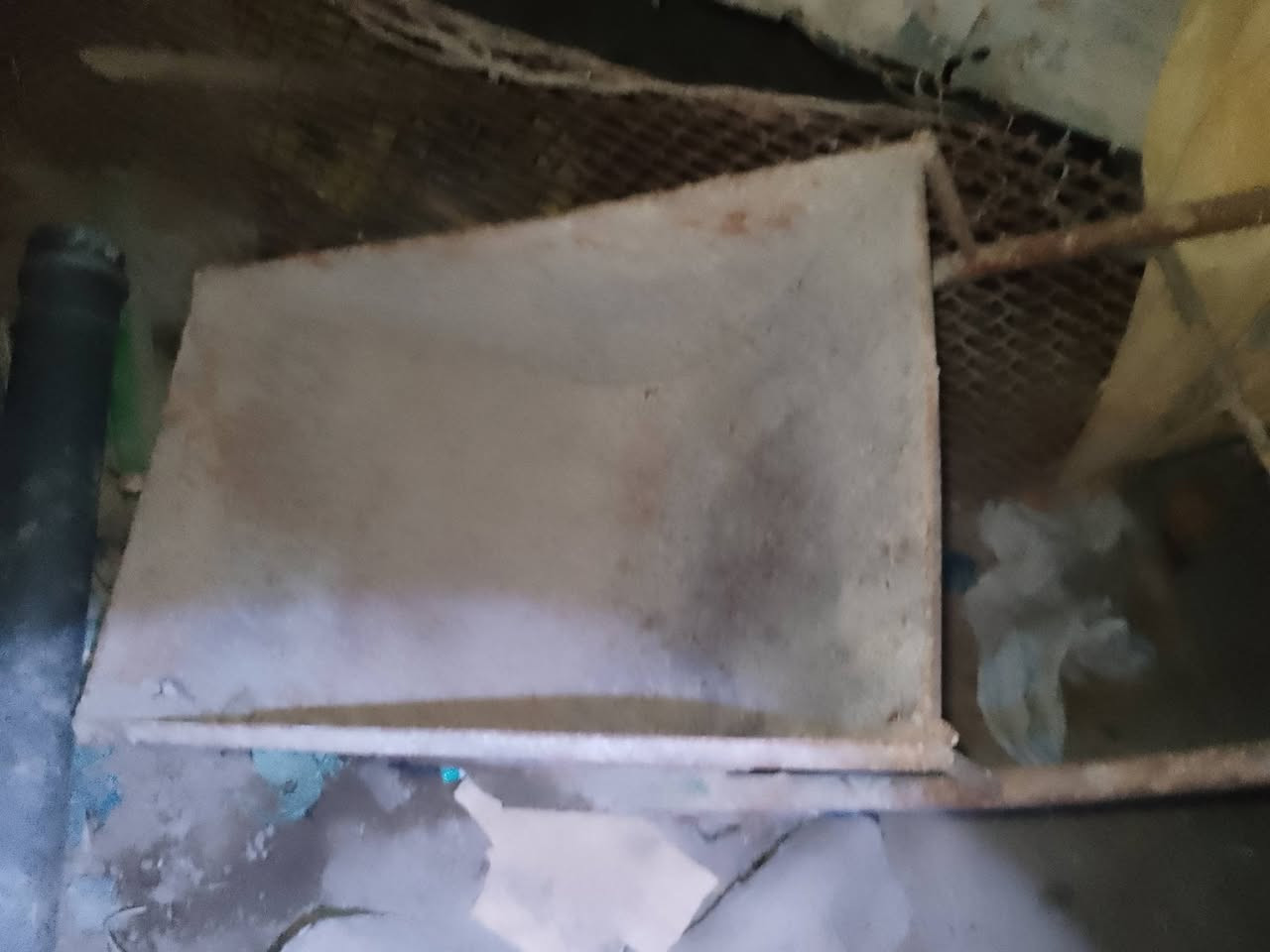 ونج • عارباين ٤ • ناصريه