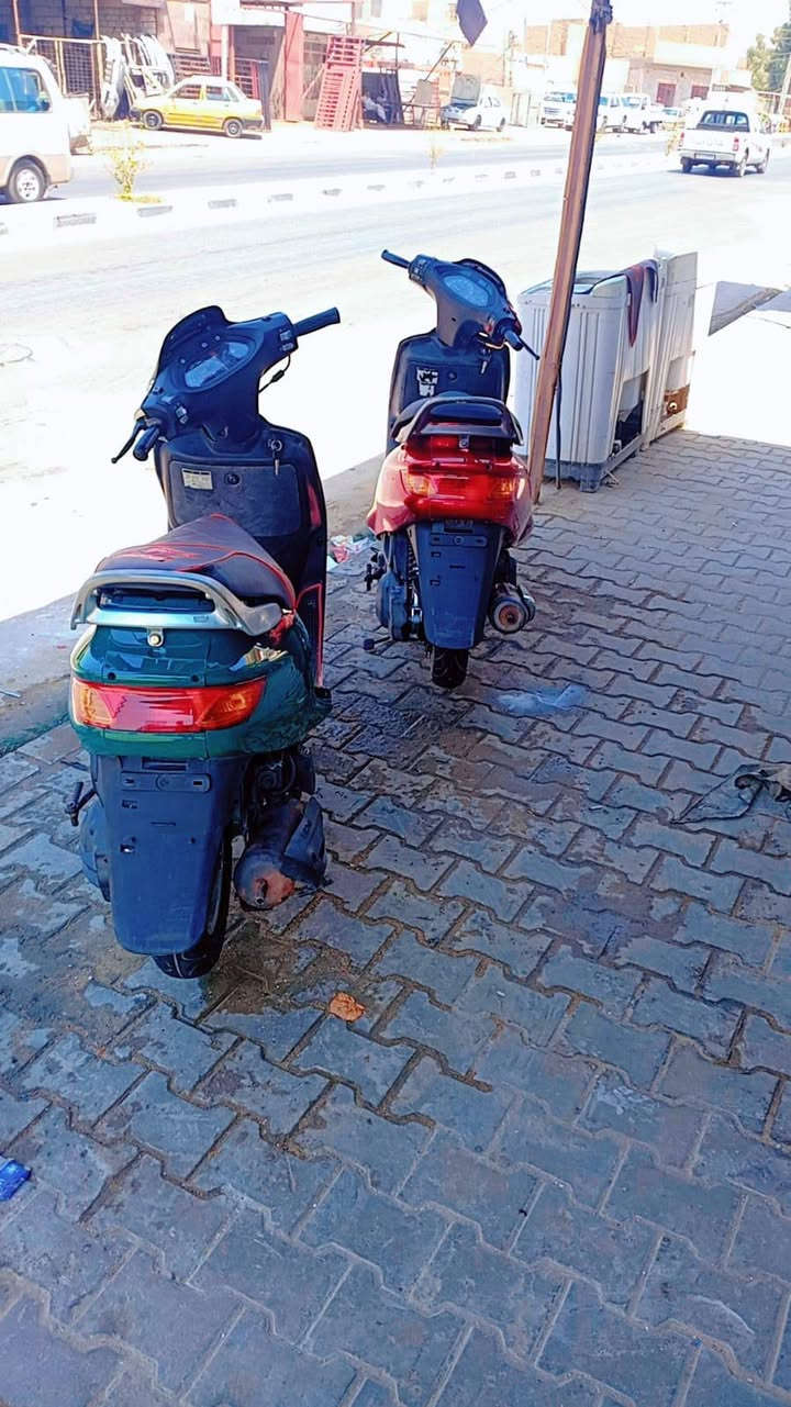 فراشات وكيل للبيع مقفولات كفاله كلك اياها سنه السعر 700 فراشه الحمراء بيها مجال العنوان نجف مشخاب حي الكرامه ***********
