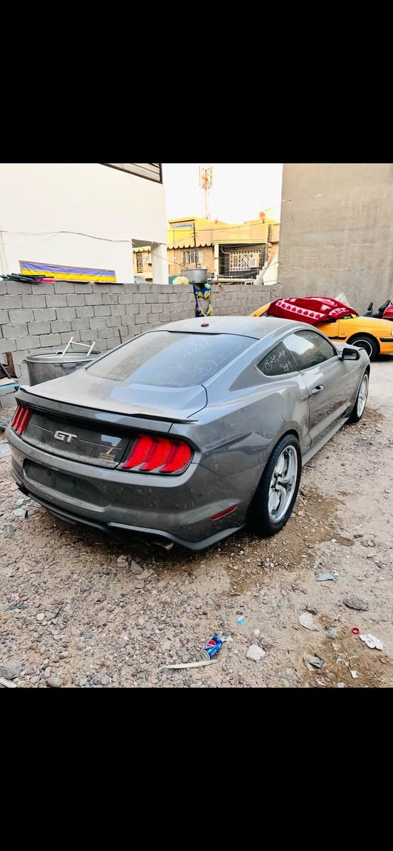 موستنك GT • ٢٠٢٣ • بدون ضربه