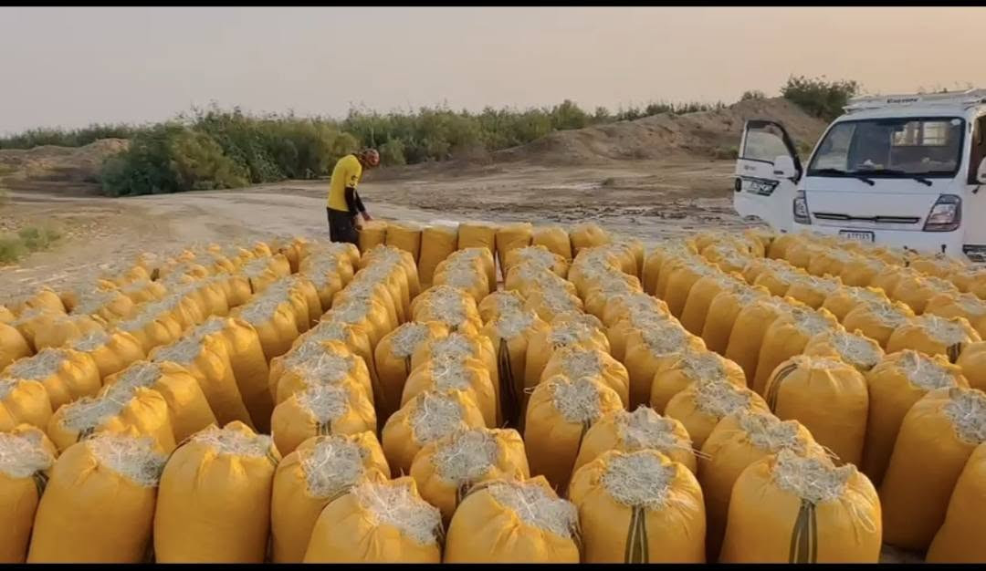 سلام عليكم احبتي الكرام يوجد تبن نضيف ستندر درجه اوله ترس فول وخيط ورده شرط علتفريغ ىبسعار مناسبه جداً واصل جميع المحافظات المذكوره في الشاشه بغداد بابل كربلاء ديوانيه سماوه واسط نجف انتصل ابيك خير ودلل على الرقم ***********   يوجد واتساب
