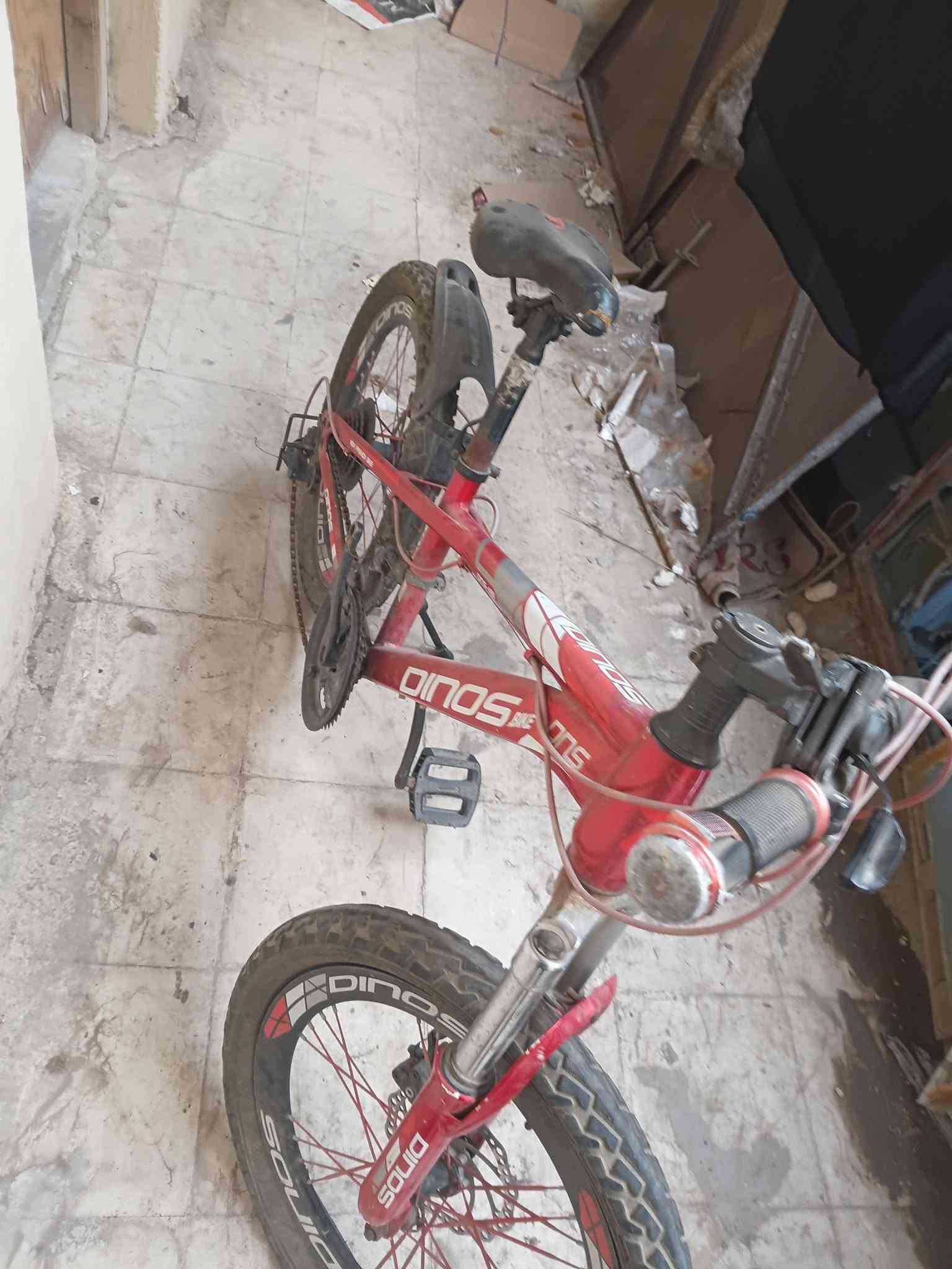 جينكو صغير • سكوتر • باسيسكل