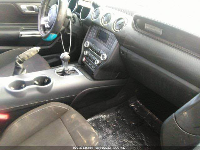 موستانغ ايكو بوست • ٢٠٢٢ • مصدومه