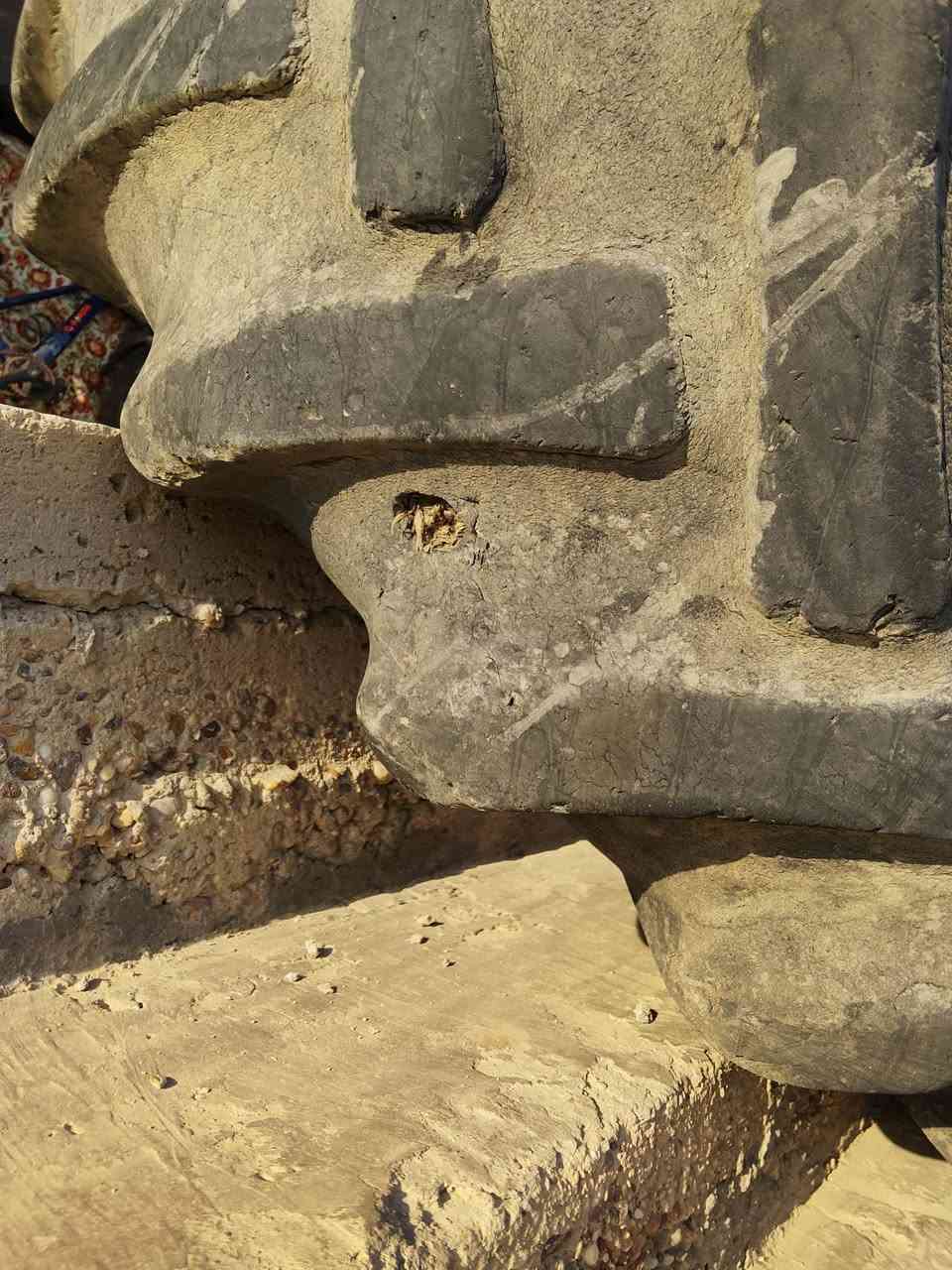 السلام عليكم للبيع تاير مال نيوهلند 80/(***********)
