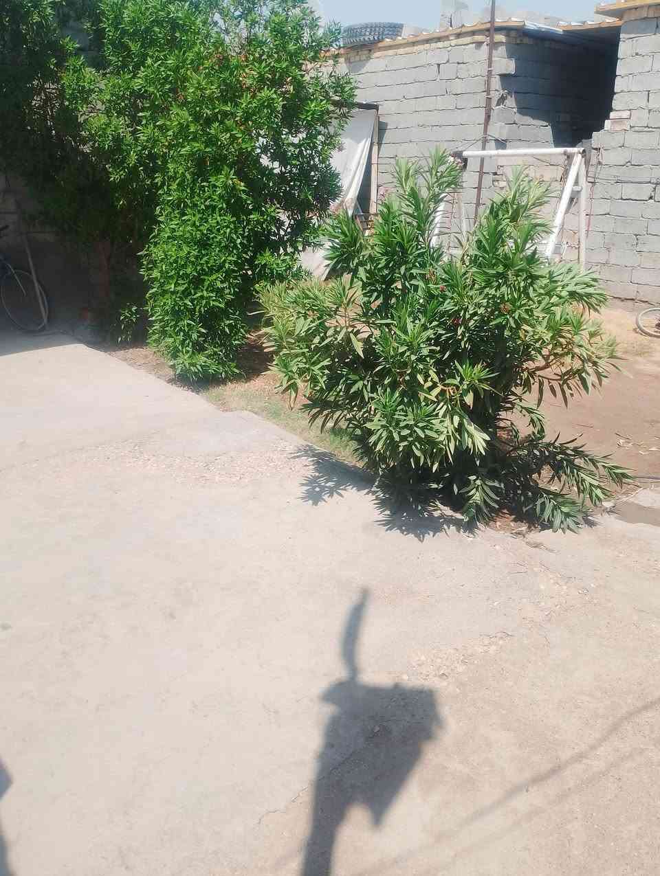 بيت للبيع • حي الحكيم • قرب الحولي