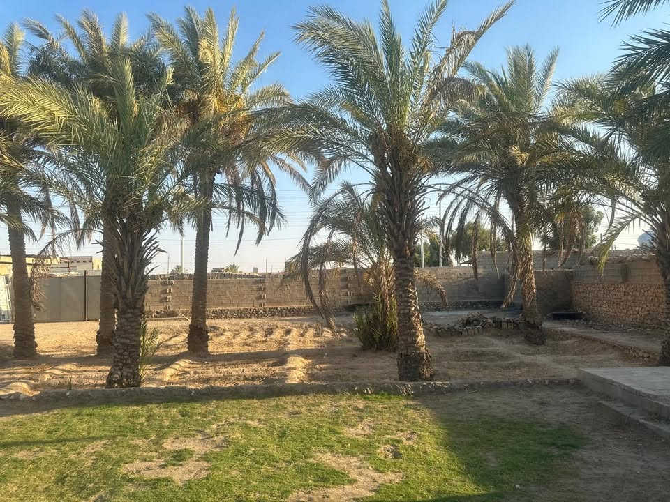 🏡 للبيع أو الإيجار — فرصة مميزة في ناحية الفرات
📐 المساحة: 1100 متر مربع
🌴 يحتوي على حدائق كبيرة وأشجار نخيل
📍 مقابل مدرسة الأنام الابتدائية — ناحية الفرات
🌿 موقع هادئ ومناسب للسكن أو الاستثمار

💰 متوفر للبيع أو الإيجار حسب الاتفاق

📞 للاستفسار والتواصل:
***********
***********

للمهتمين الجادين، يرجى الاتصال للاستفسار عن التفاصيل والسعر.
