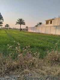 أبو غريب البعامر • ٢ دونم • قريبة مستشفى