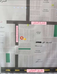 نص قطعة • ١٢٥م • الطوبه والنخيله