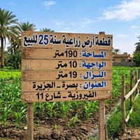 الجزيرة البصرة • ١٩٠م • سند ٢٥