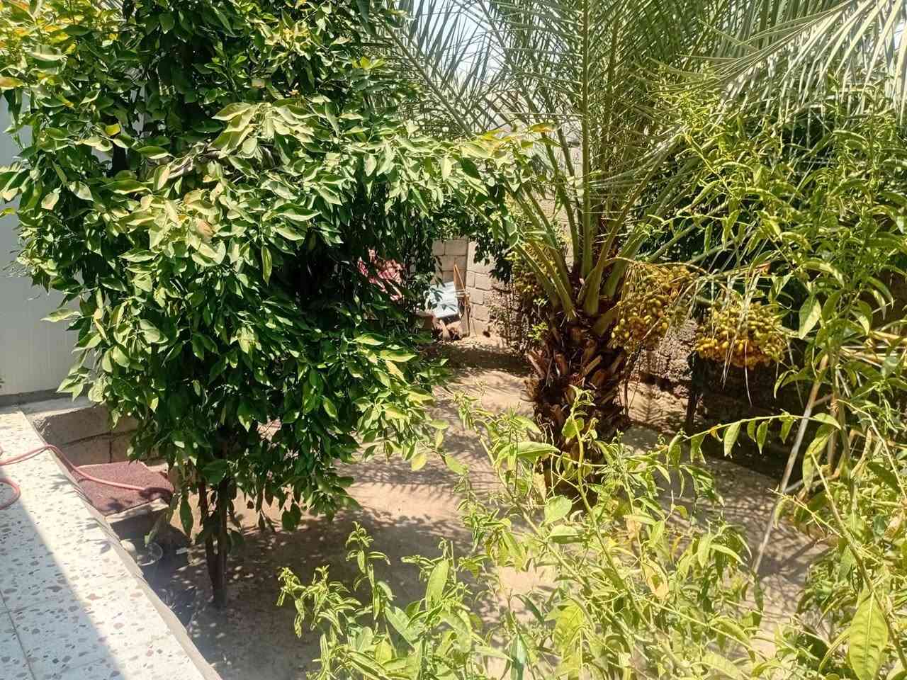 🏠 بيت بناء حديث للبيع
السلام عليكم ورحمة الله وبركاته
📍 الموقع: منطقة شتال، قرب جسر الجورجية، وقريب من الشارع الدولي، والمنطقة تتوفر فيها كافة الخدمات.

📐 المساحة: 250 متر مربع
📜 الملكية: طابو زراعي – سند 25

يتكون البيت من: • استقبال
• هول وصالة
• غرفة نوم
• مطبخ حار وبارد
• صحيات خارجية
• كراج
• حديقة

💰 السعر: 68 مليون دينار، وقابل للتفاوض مع الشاري.

📞 للاستفسار والتواصل: ***********
***********

📱 اتصال أو واتساب أو مراسلة الصفحة.
