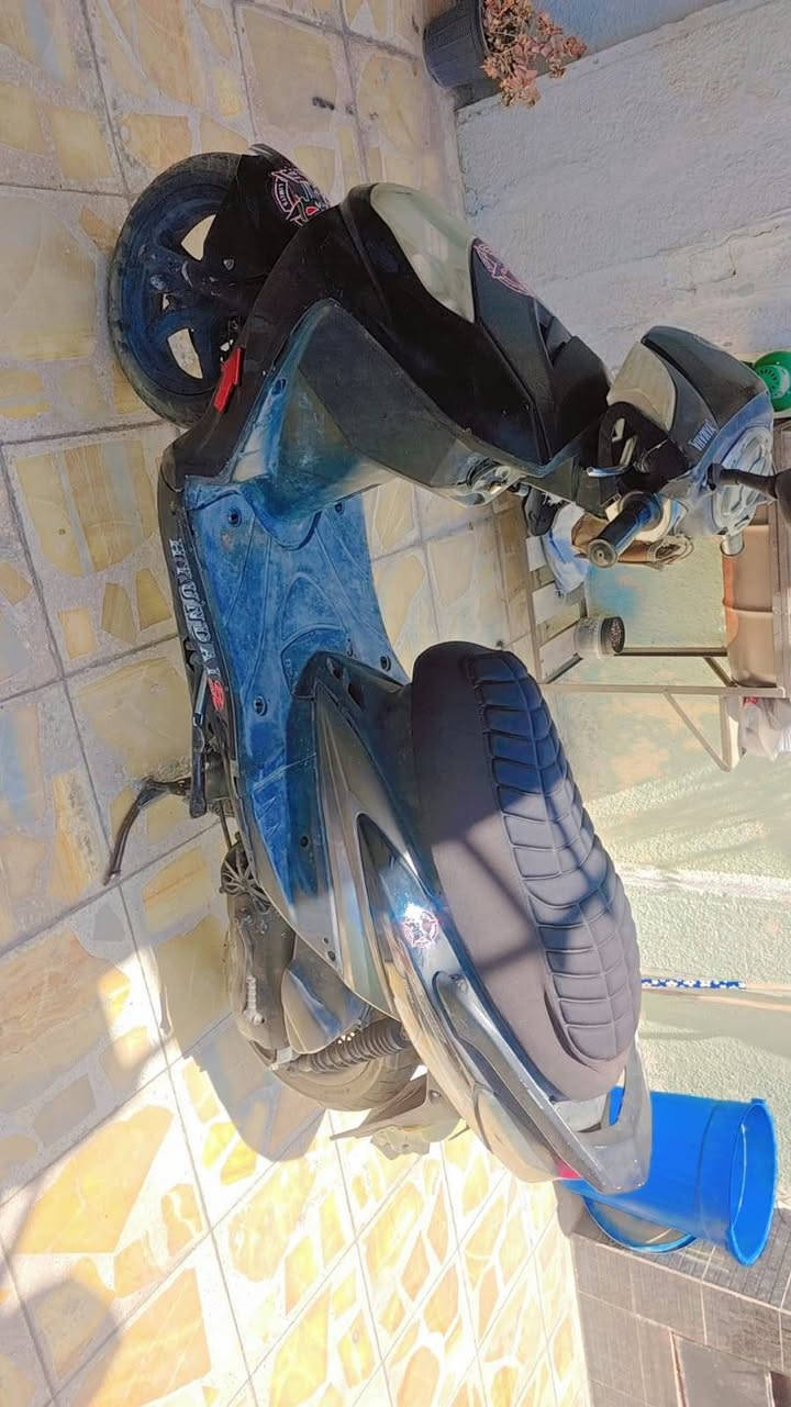 سكنس فحل نكره سلف وشلعهه مراوس بكير وذا بيع 550وبيهه مجال قليل ***********
