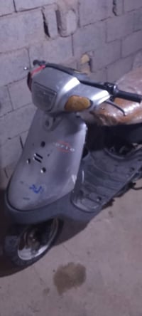 بطة • ٦٠ • فحل