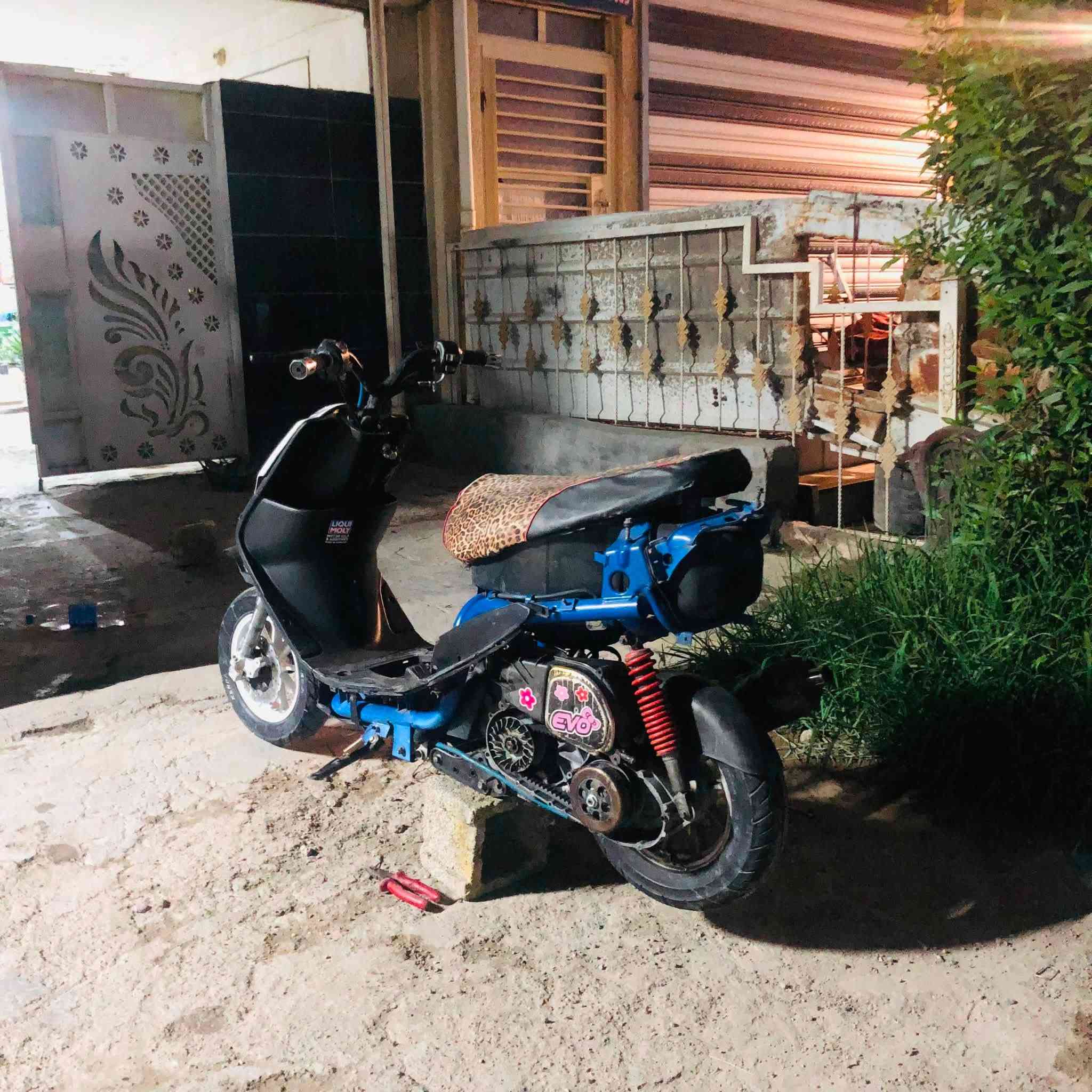 ٤٩ • نضيفه • دواخل جداد