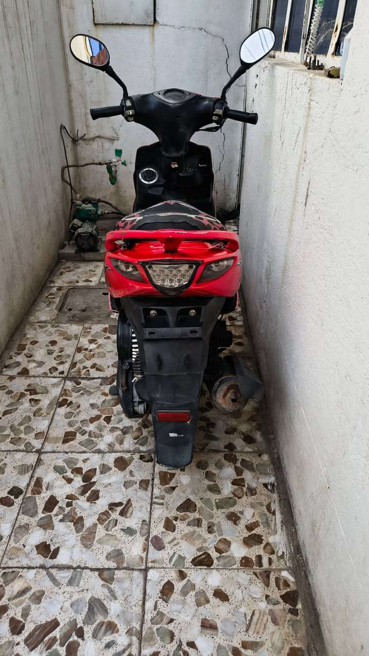 ماكس مضلع • نوزل • كفالة