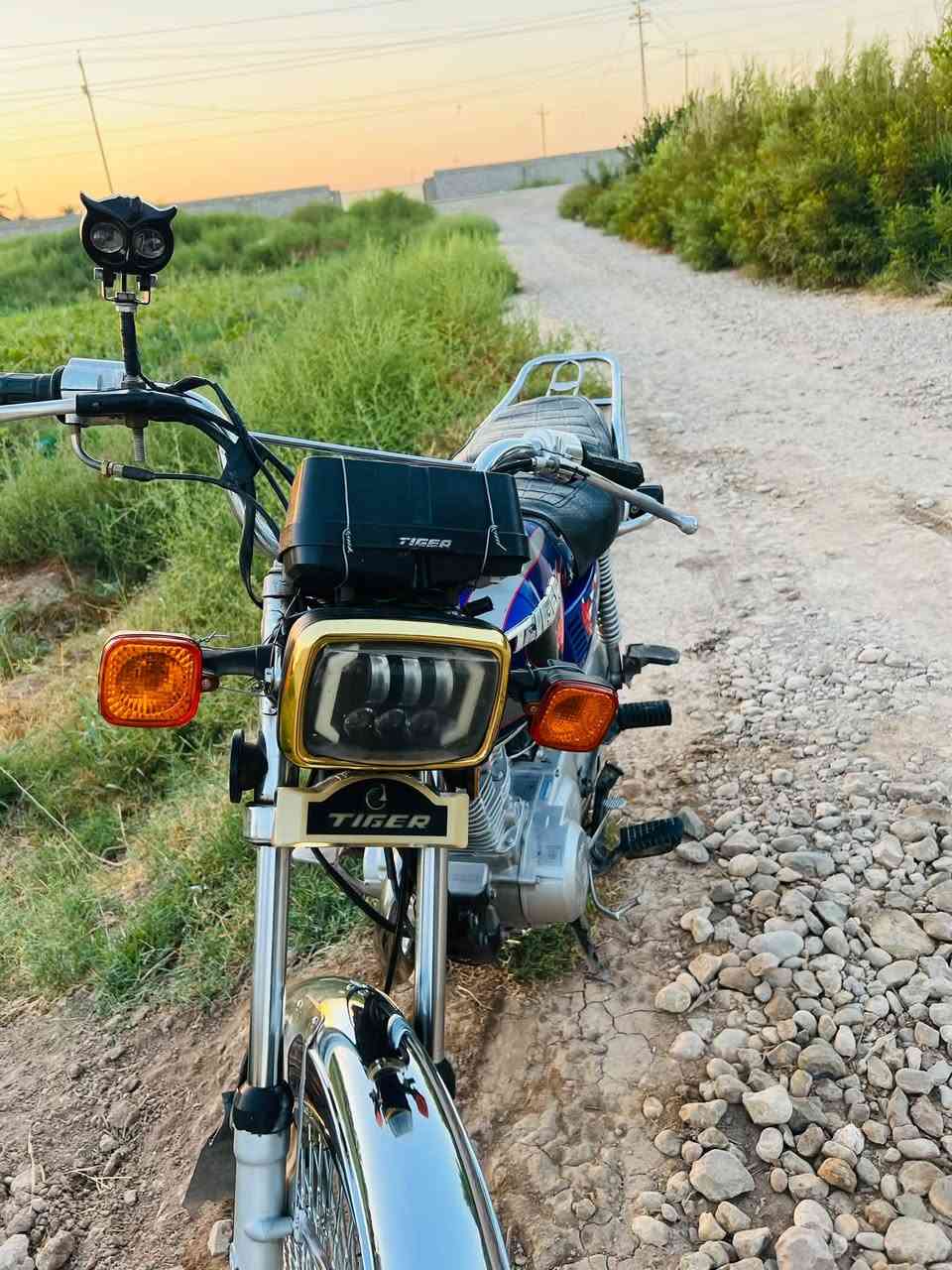 تايكر • ٢٠٢٠ • اوراق