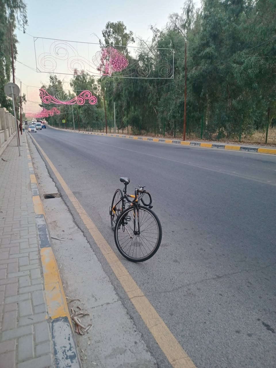*********** فقط واتساب❤🌹
