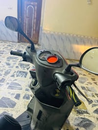 سكنس فحل • ياباني • خطين
