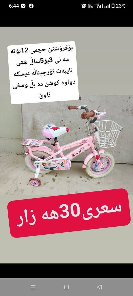 سليمانية قلاوة • بسكليت 12بوصة • ٣-٥ سنوات