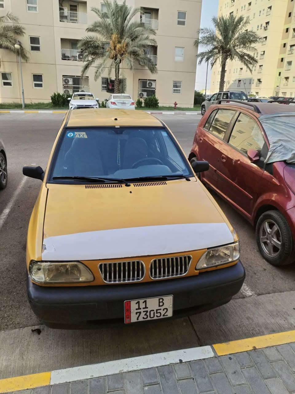 سايبا • صفراء • مسيب