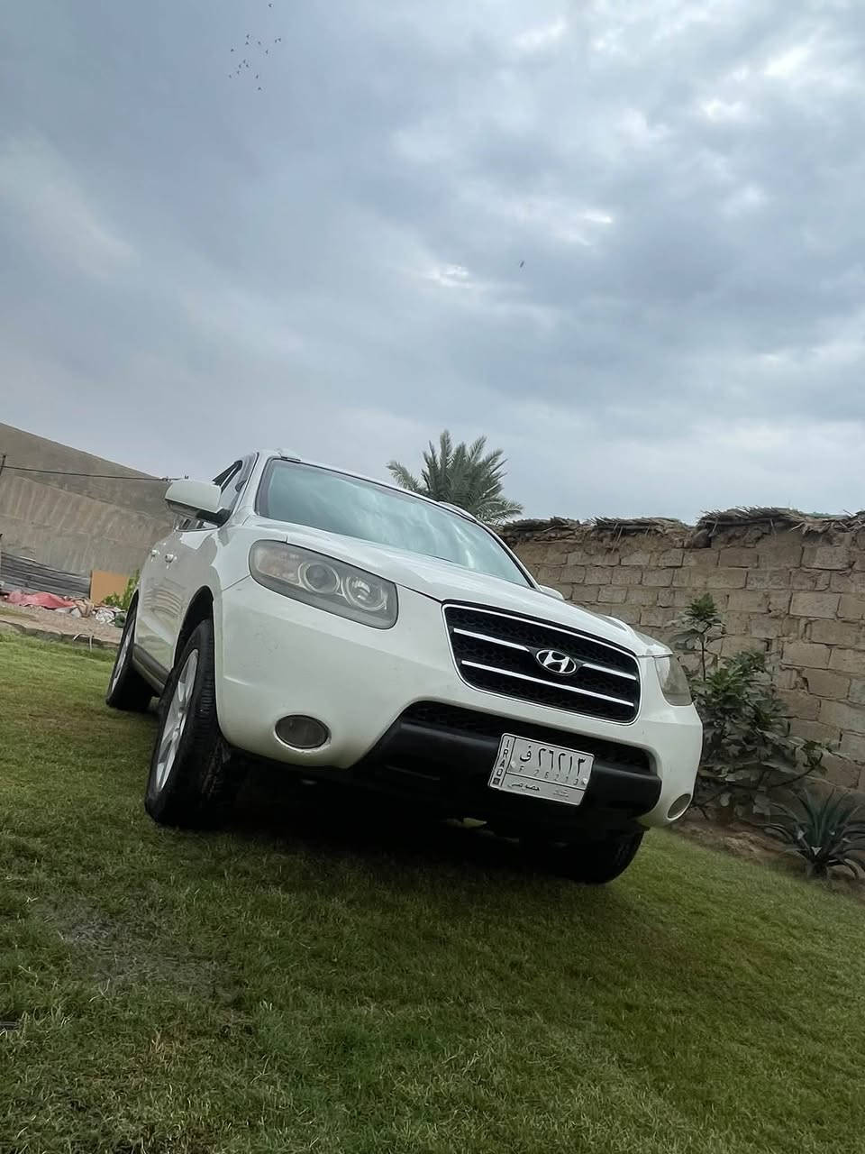 سنتافي • ٢٠٠٩ • سبع راكب