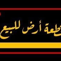 الدورة هور رجب • ٢٣٠م • واجهة ١٠م