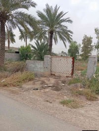 الصمدية • ٨١٠م • زراعي