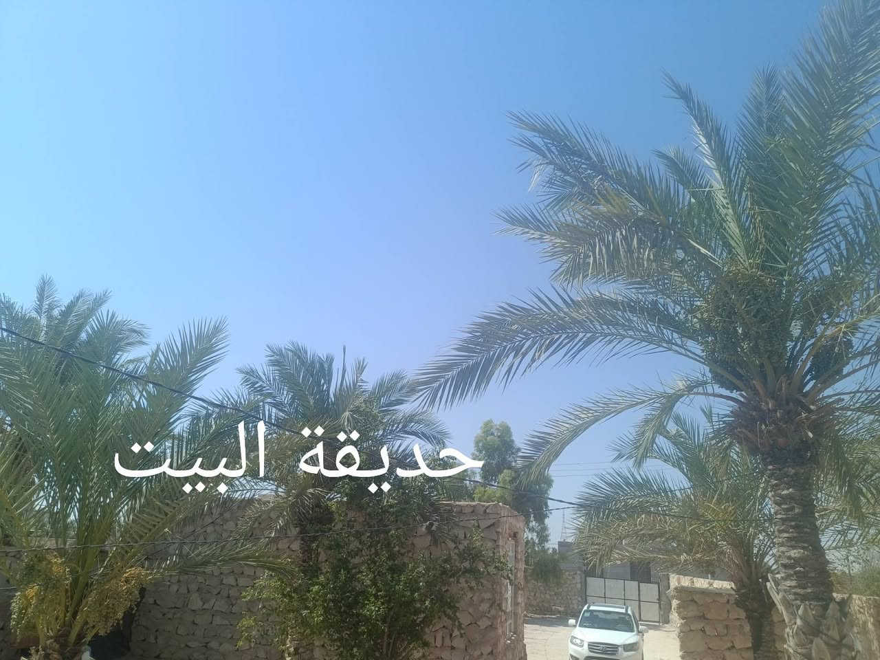 بيت للبيع مساحتة 700متر جاهز للسكن ومناسب العنوان شارع كربلاء عمود 170 طريق ياعلي مشمول بالتطويب كل الخدمات بي ماء كهرباء ابابك الرقم الاستفسار *********** بي واتساب
